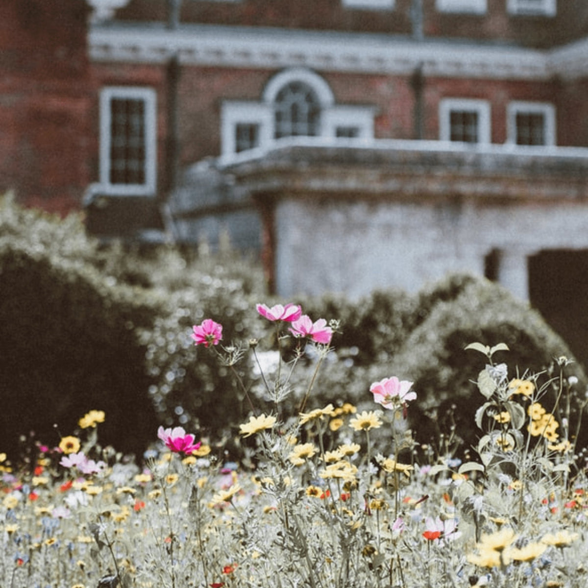 Scent & Sensibility - Common 28